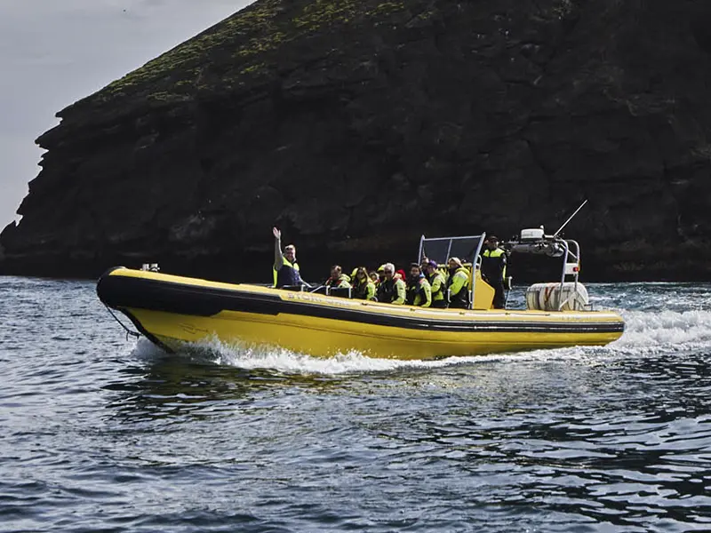 Ribbåd sejler rundt om Heimaey