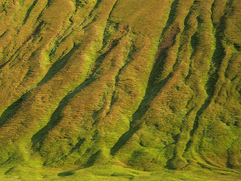 grønne fjelde up close