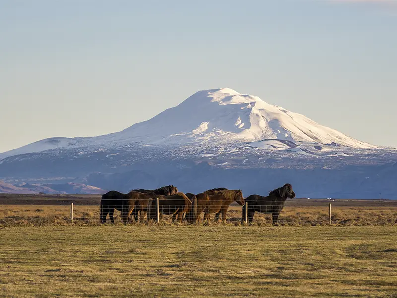 Vulkanen Hekla i Island set fra afstand