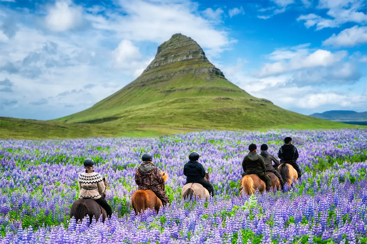 Island ridetur med vulkan i baggrunden